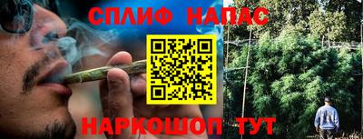 стафф Лесосибирск