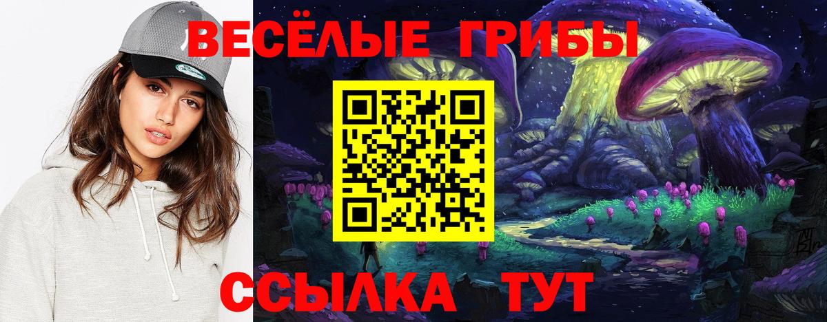 Долгопрудный  Галлюциногенные грибы Psilocybine cubensis  Вход с VPN 